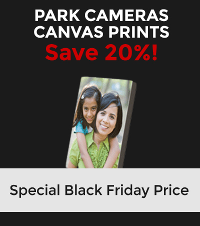 You missed our 2018 Black Friday deal. You missed our Black Friday deal. Signup below so you don't miss it next year!! * Offer cannot be combined with any other promotion, discount or offer.